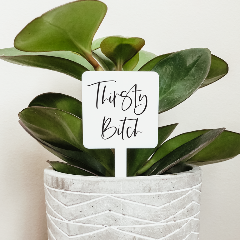 KNOTTY DESIGN CO KNO PLANT MARKER THIRSTY B