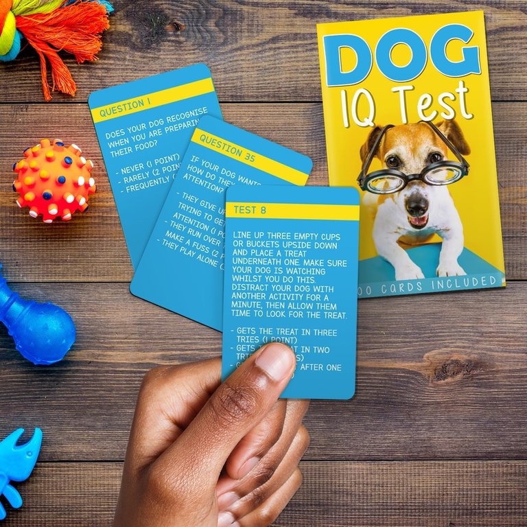 GIFT REPUBLIC GIF DOG IQ TEST