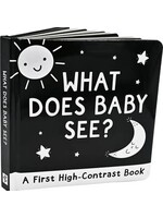 PPP BOARD BOOK WHAT DOES BABY SEE