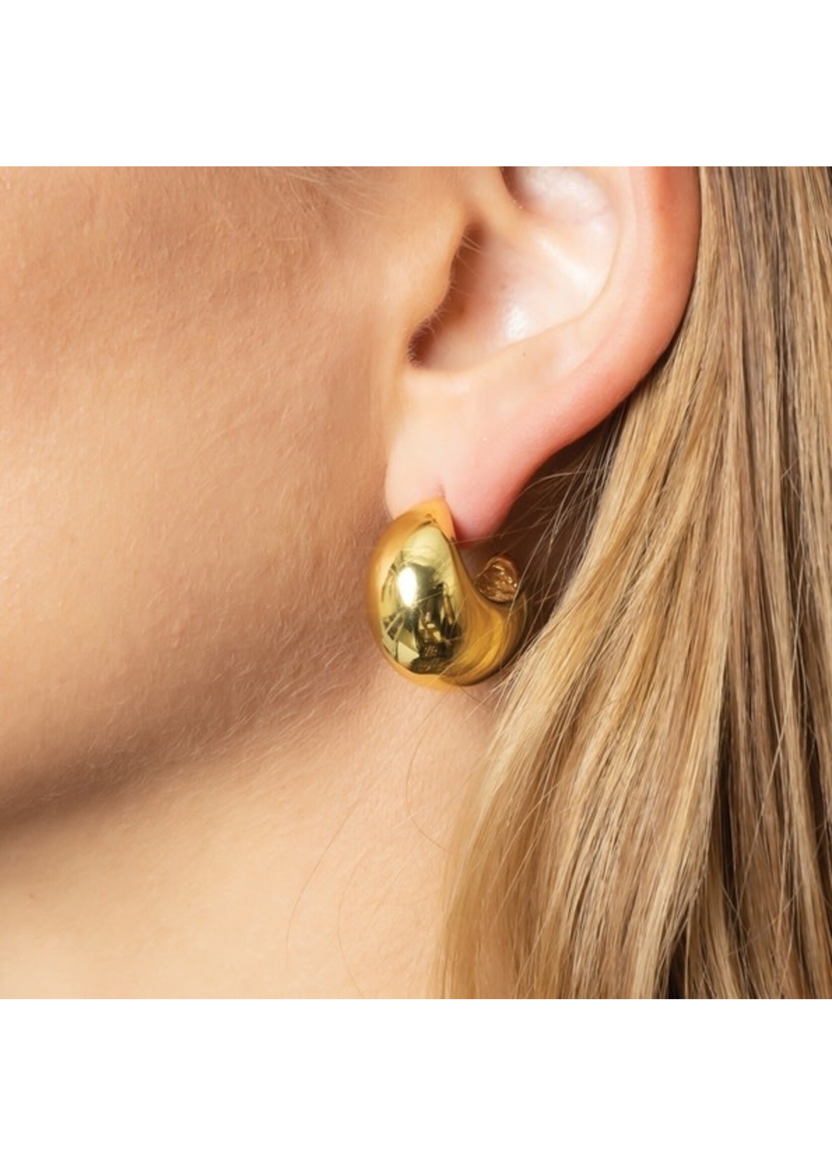 FASHION CITY FAC EARRING DROP SJE310351