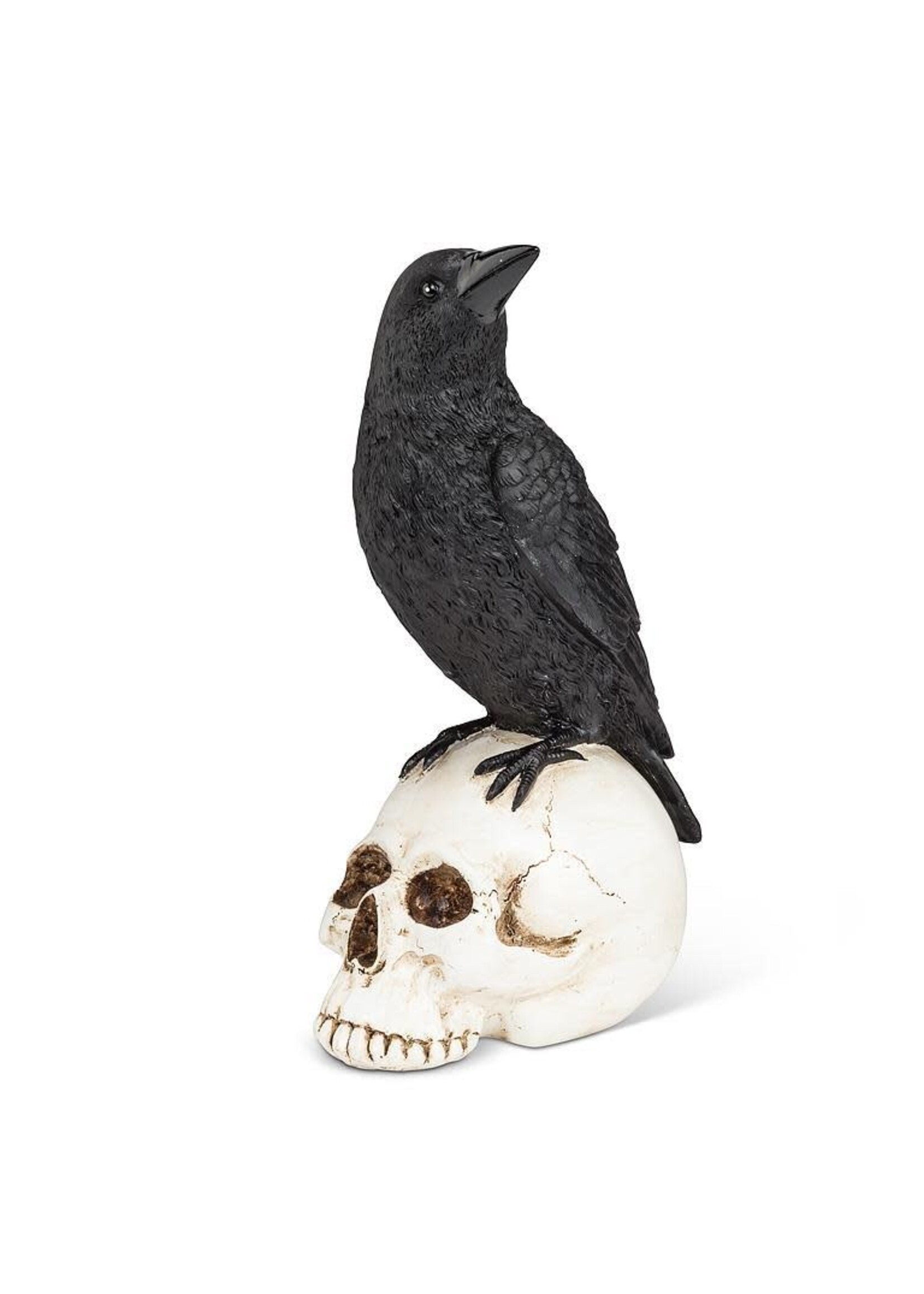ABBOTT ABB RAVEN PERCHED ON SKULL 8.5"