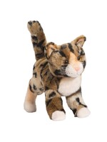DUG CAT BENGAL TASHETTE