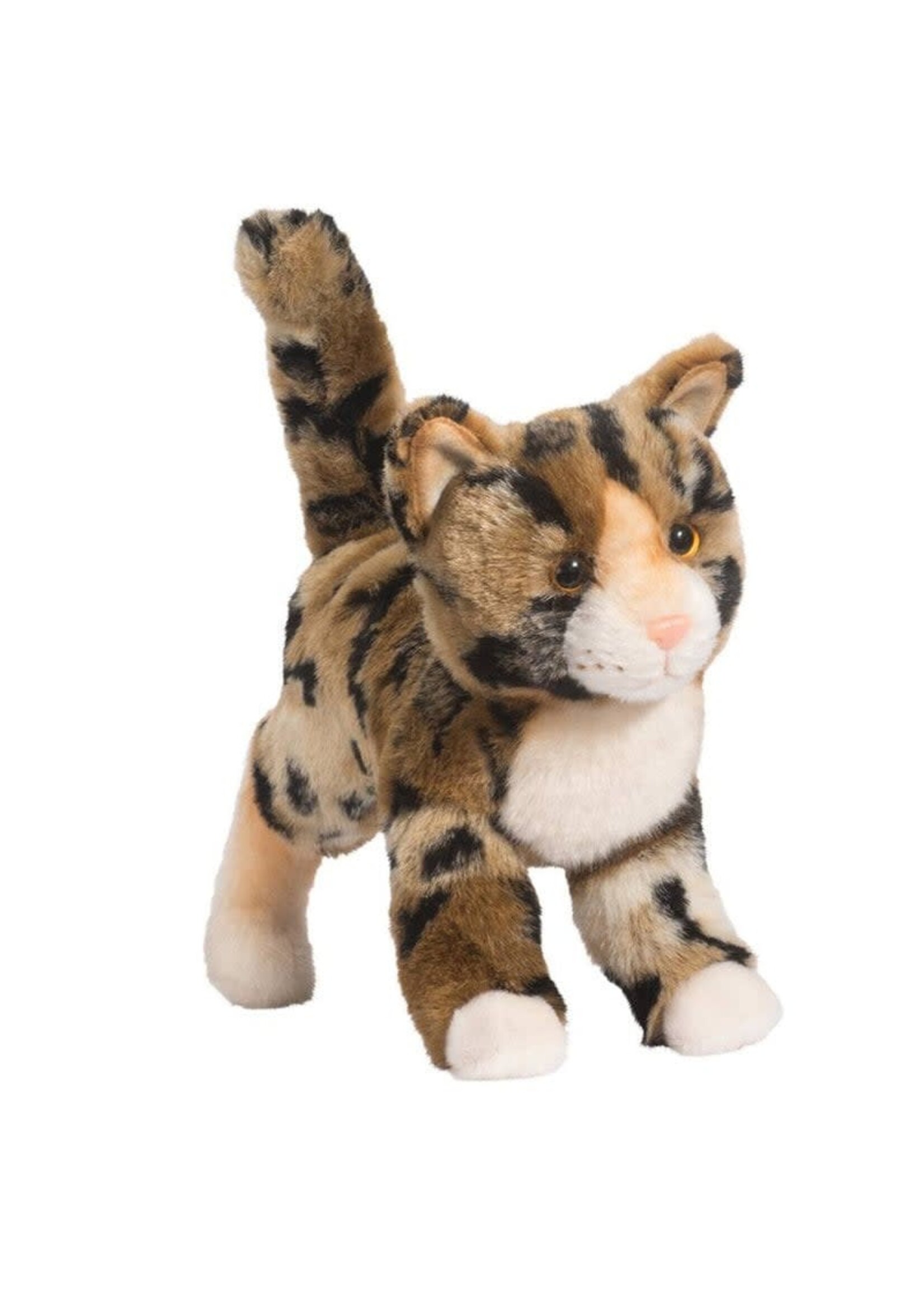 DUG CAT BENGAL TASHETTE