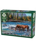 CBL 1000PC ON THE ROCKS