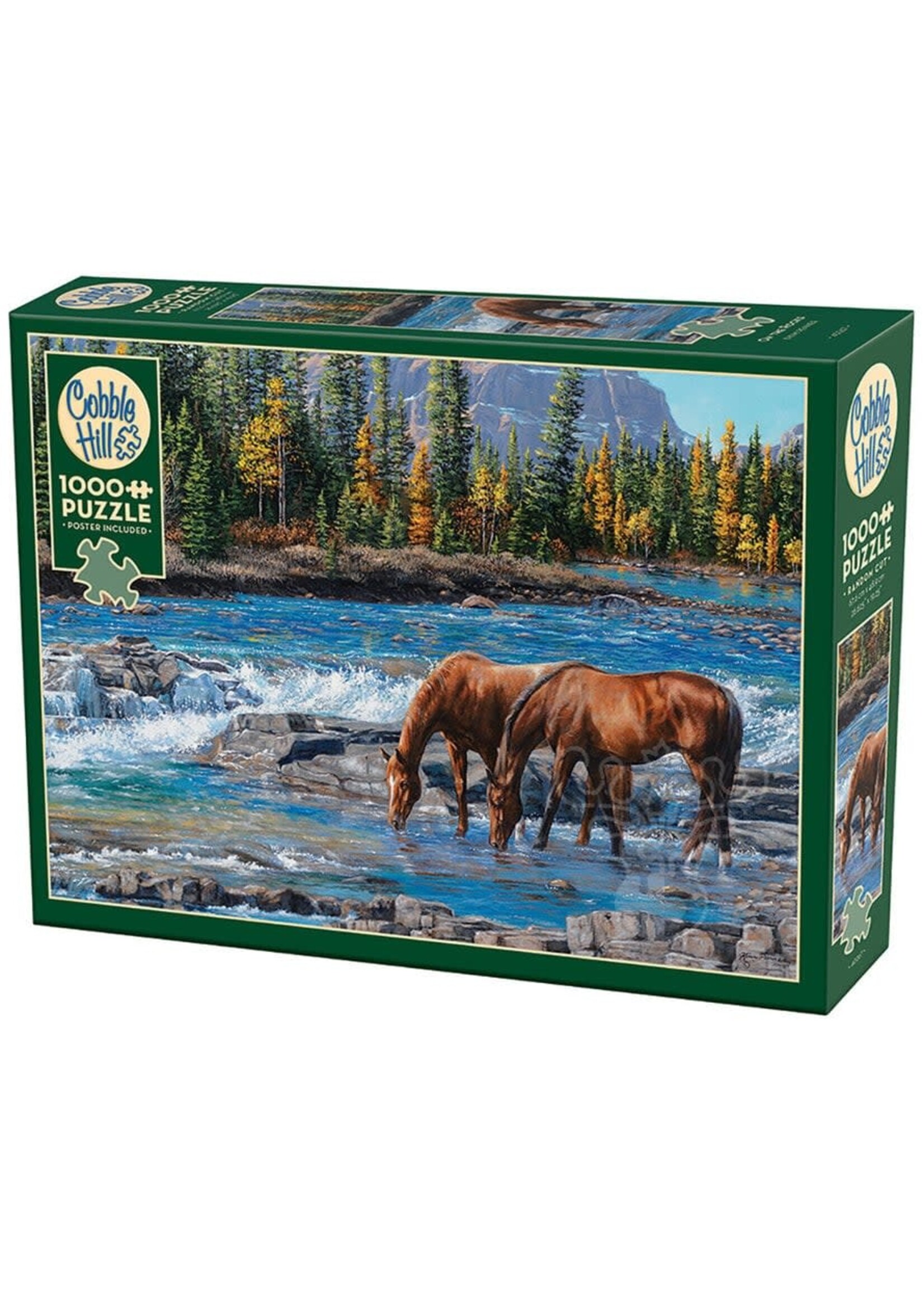 CBL 1000PC ON THE ROCKS