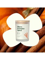 PLANT CANDLE 8OZ WARM PUMPKIN SPICE