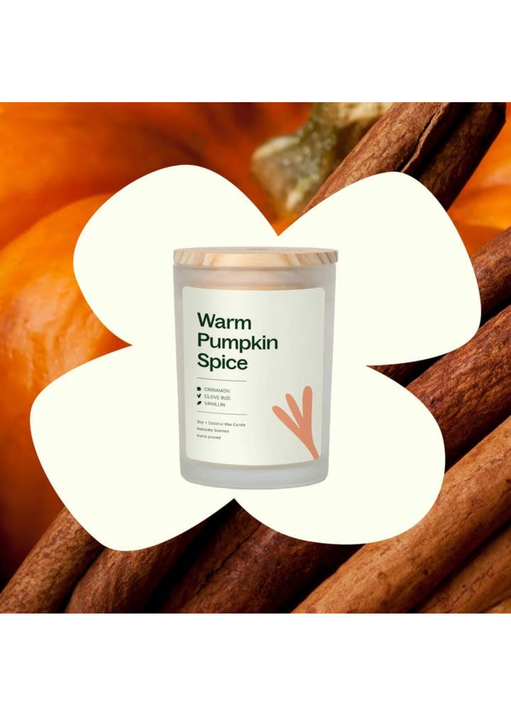 PLANT CANDLE 8OZ WARM PUMPKIN SPICE