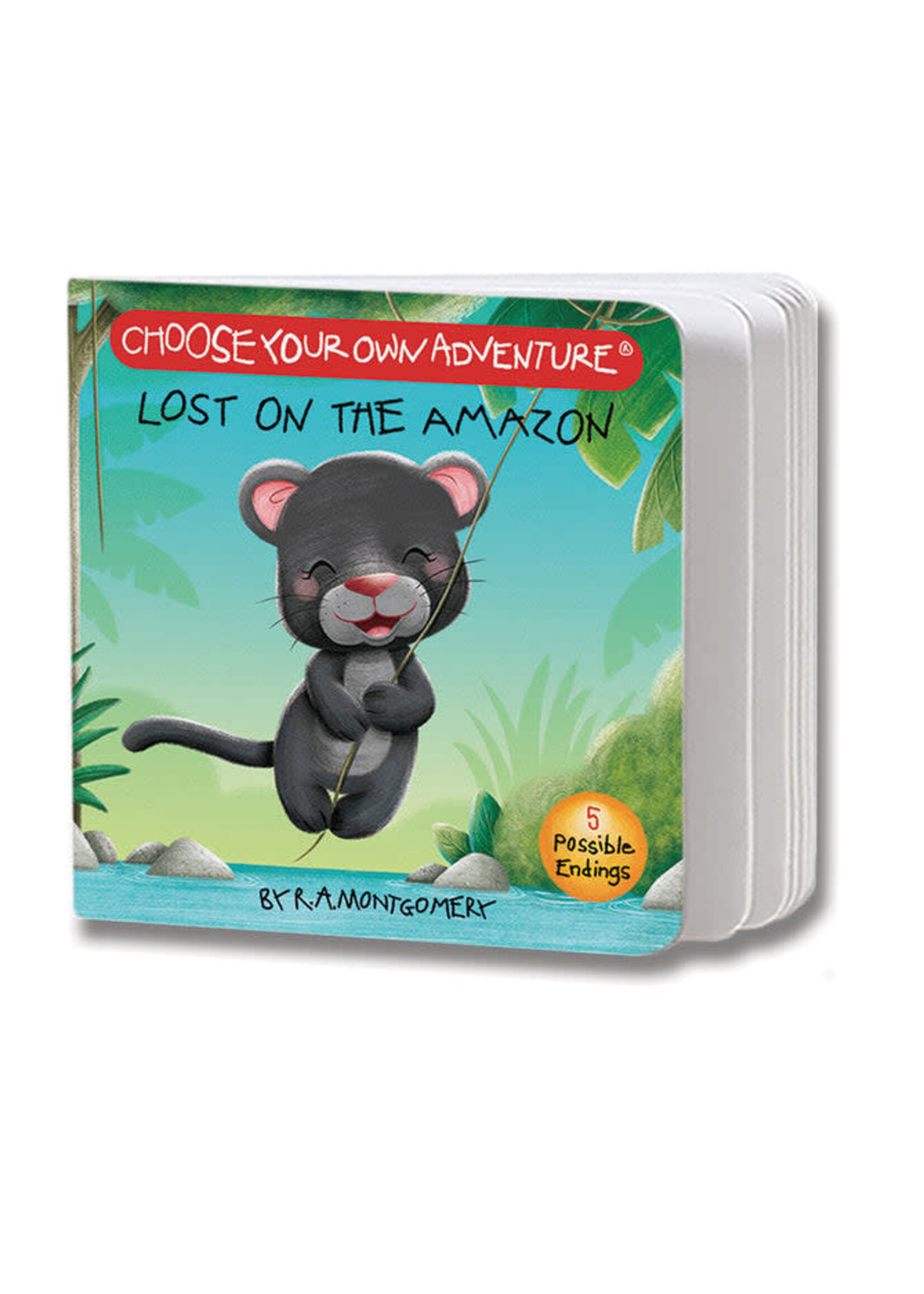 CHOOSE CHO BOARD BOOK LOST ON THE AMAZON