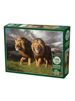 CBL 1000PC APPROACHING STORM