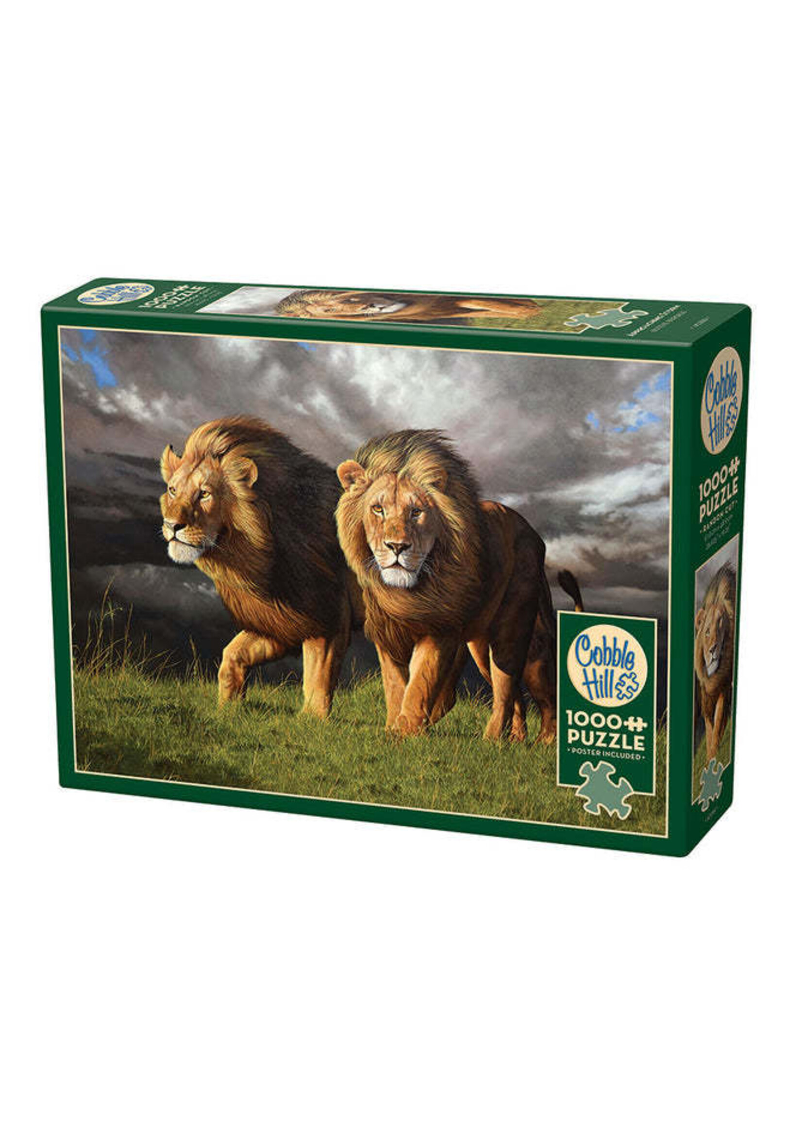 CBL 1000PC APPROACHING STORM