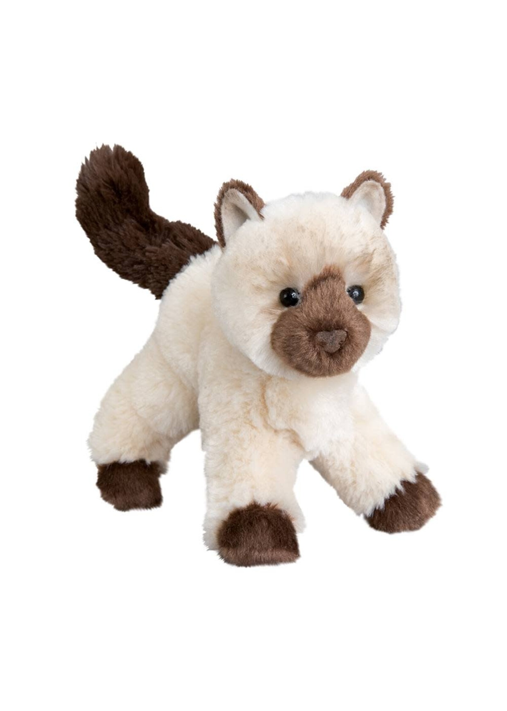 DUG CAT HIMALYAN HILDA