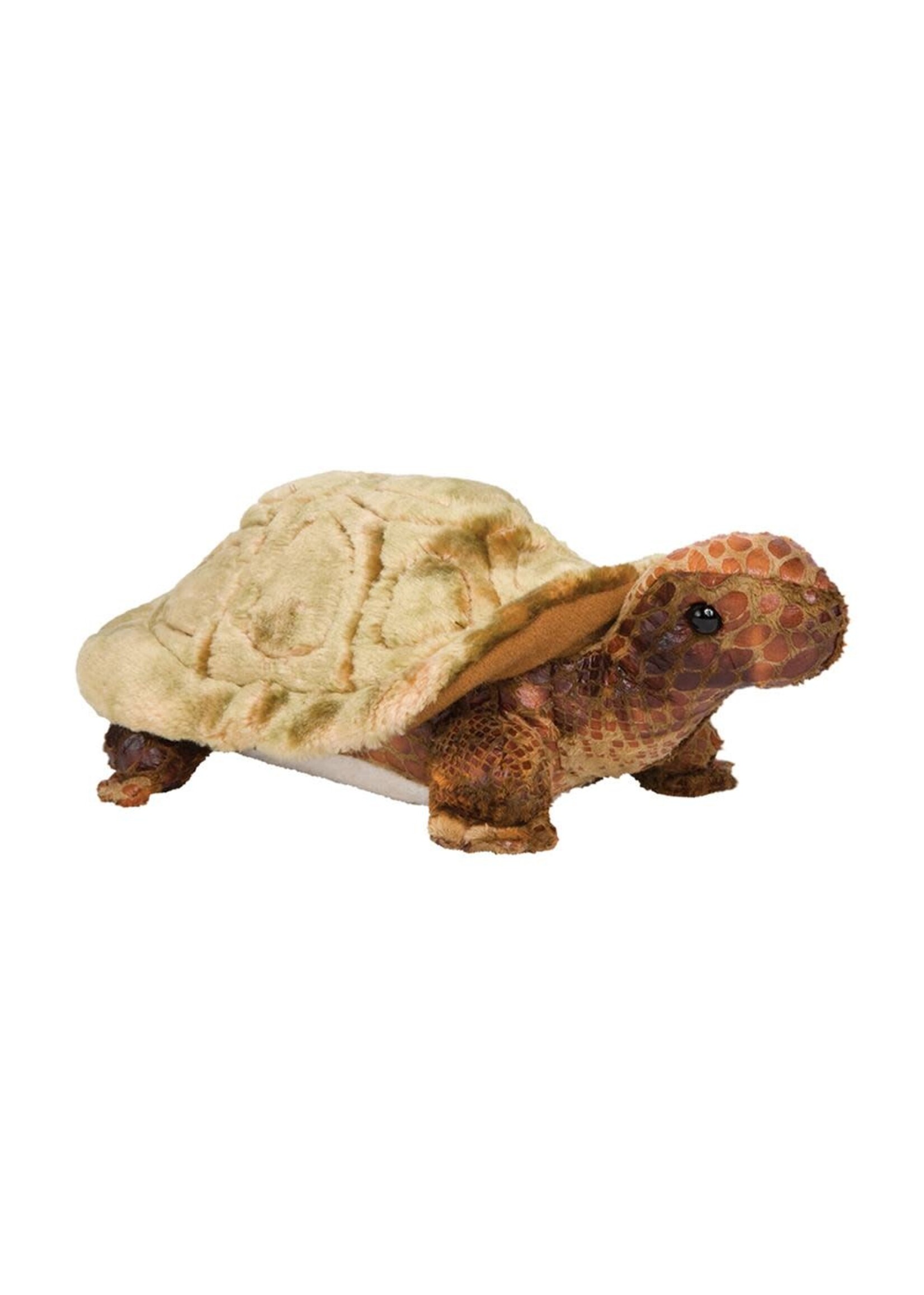 DUG SPEEDY TORTOISE