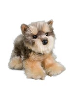 DUG DOG YETTIE YORKIE