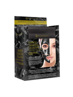REL CHARCOAL COLLAGEN HYDROGEL FACE MASK