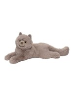 DUG JULIETTE GR PERSIAN CAT