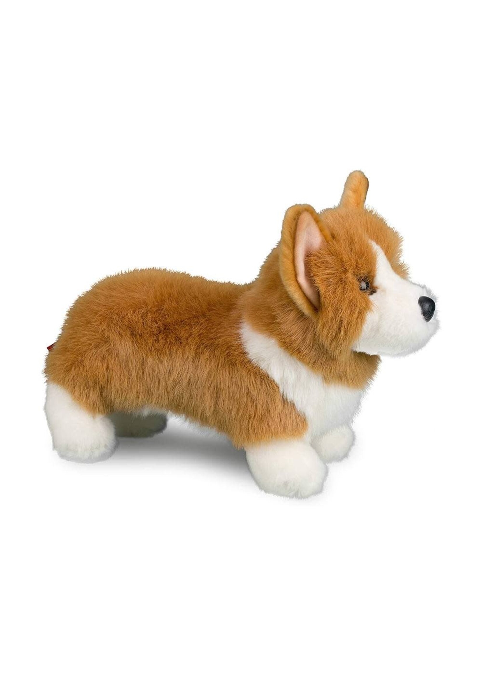 DUG LOUIE CORGI