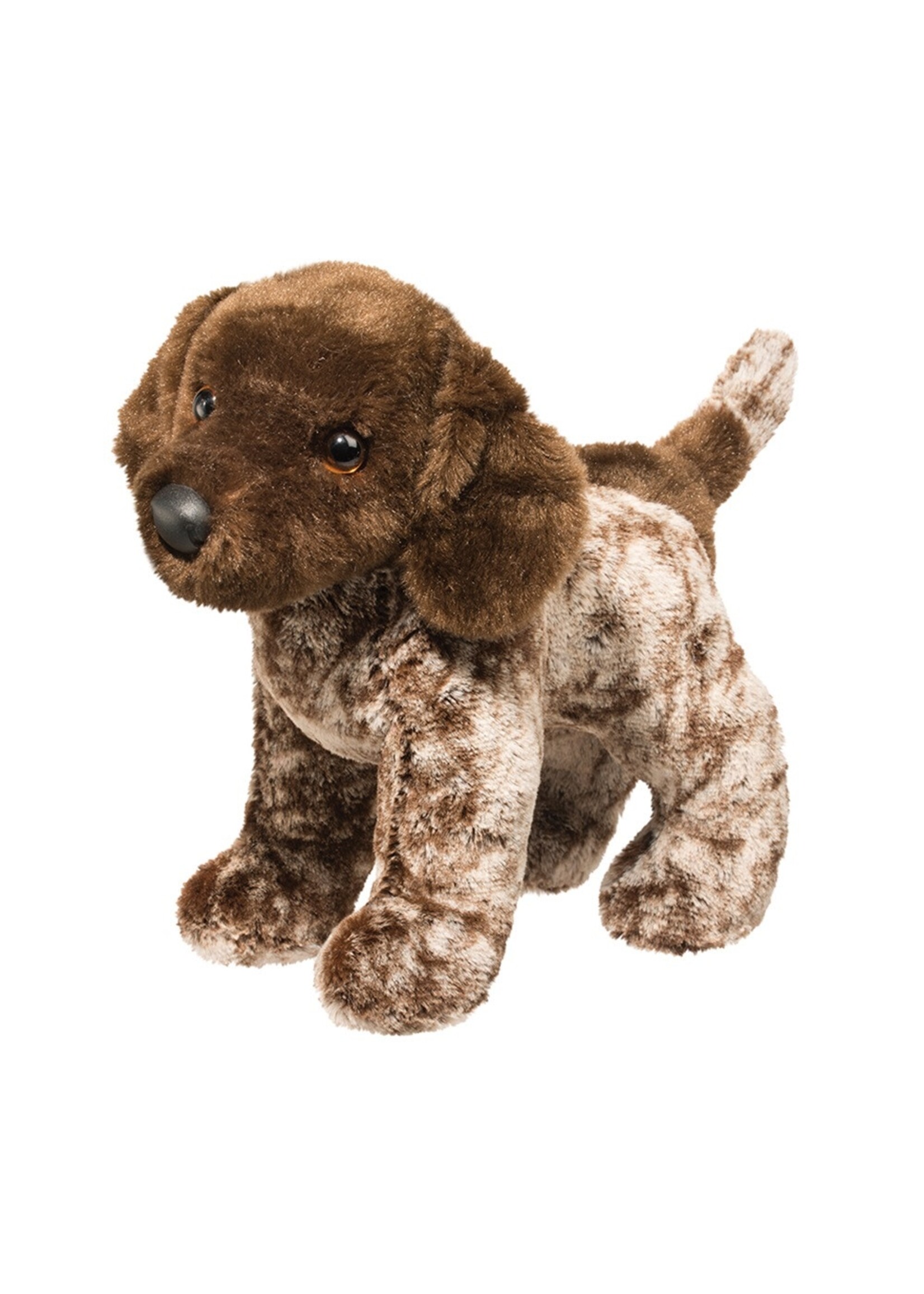 DUG IVAN GERMAN POINTER