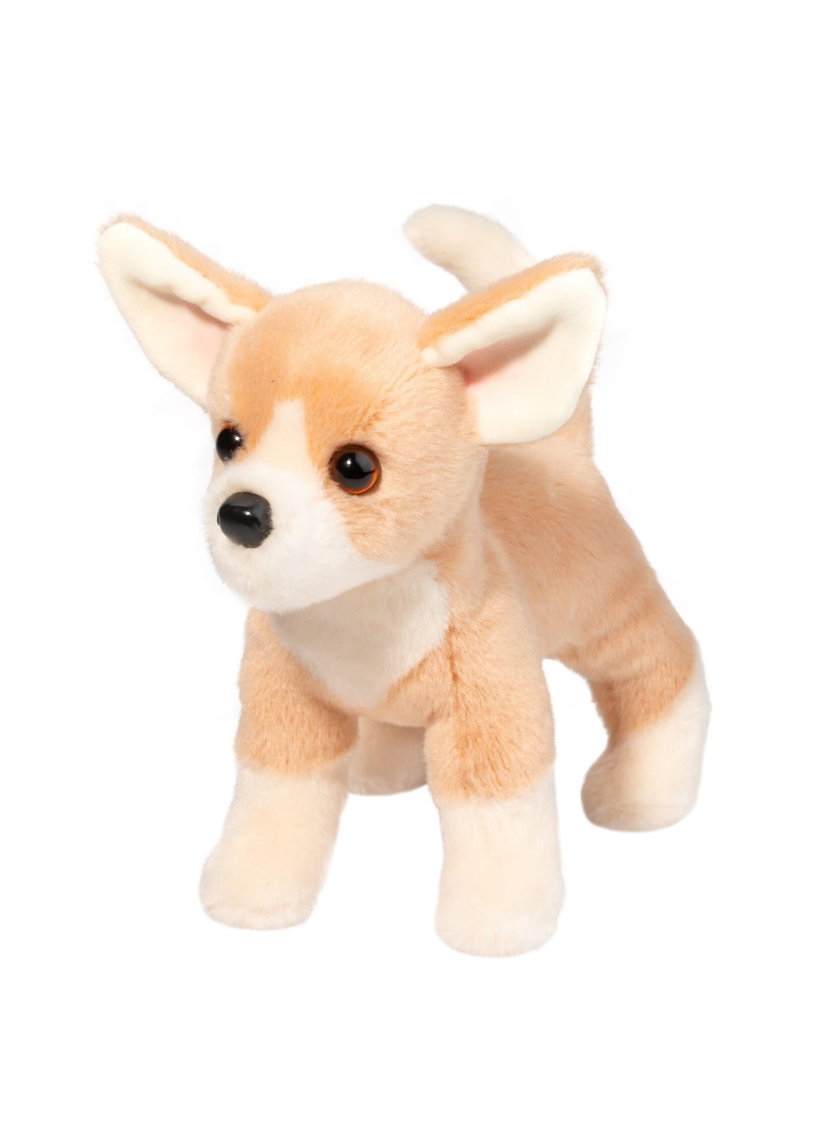 DUG CHIHUAHUA CHICHI