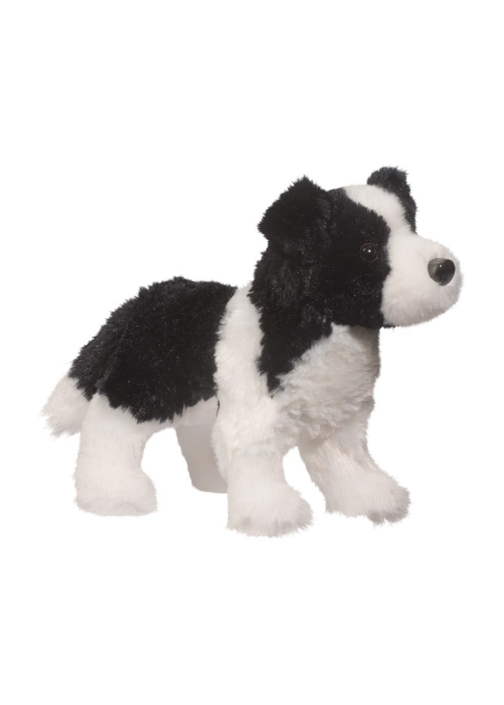 DUG MEADOW BORDER COLLIE