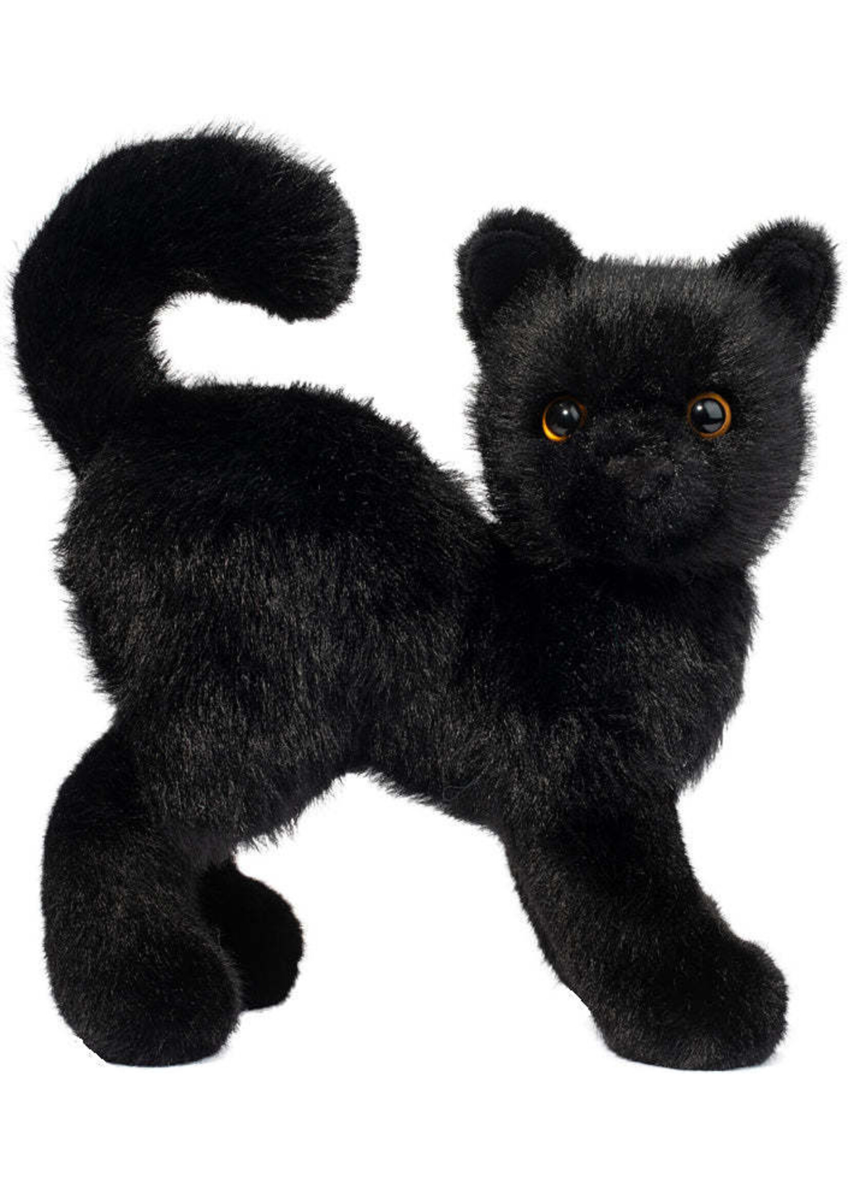 DUG SCAREDY BLACK CAT