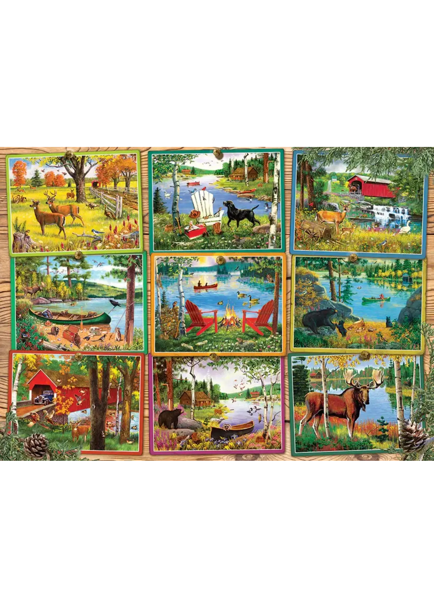 OUT 1000PC POSTCARDS FROM LAKE COUNTRY
