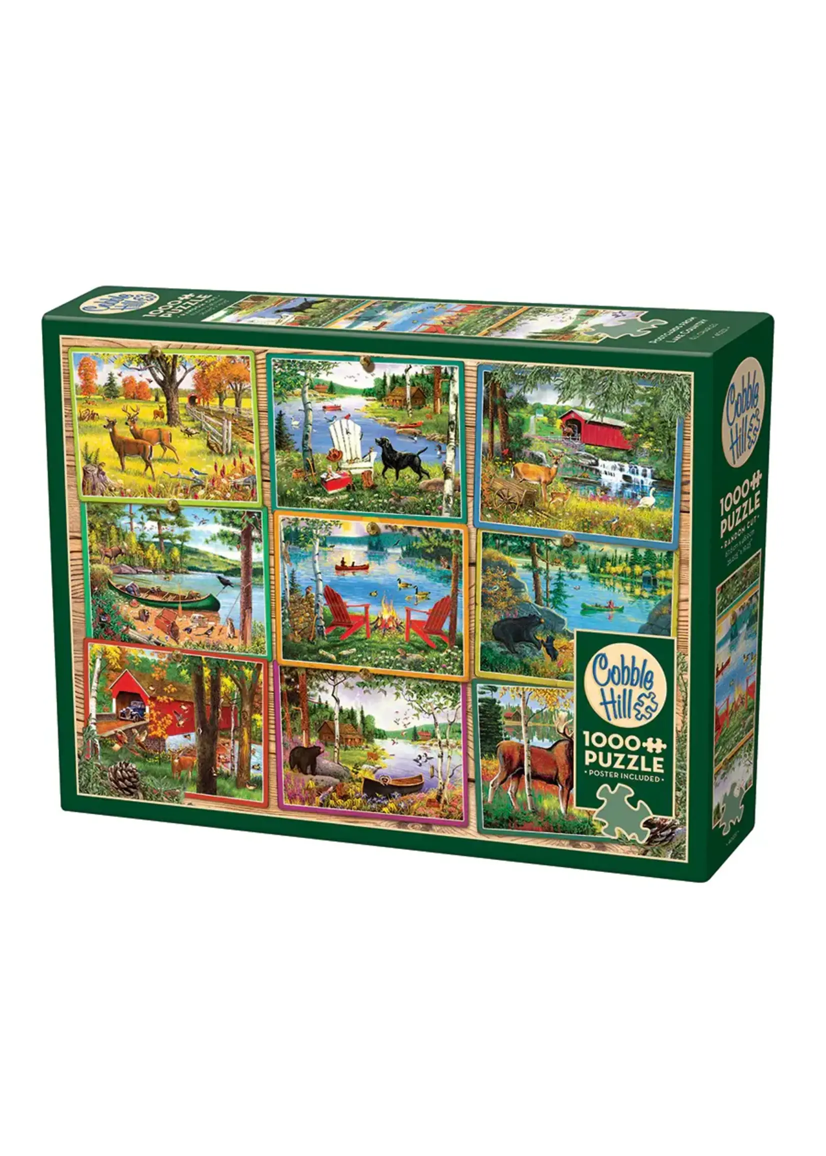 OUT 1000PC POSTCARDS FROM LAKE COUNTRY