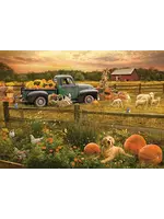 OUT 1000PC HARVEST TIME