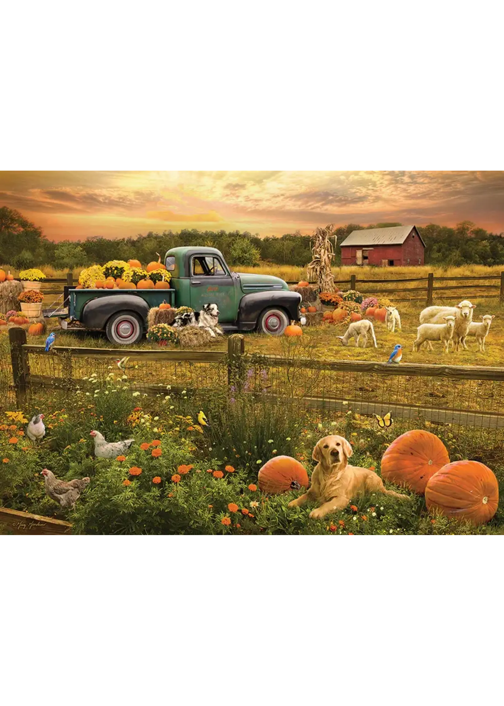 OUT 1000PC HARVEST TIME