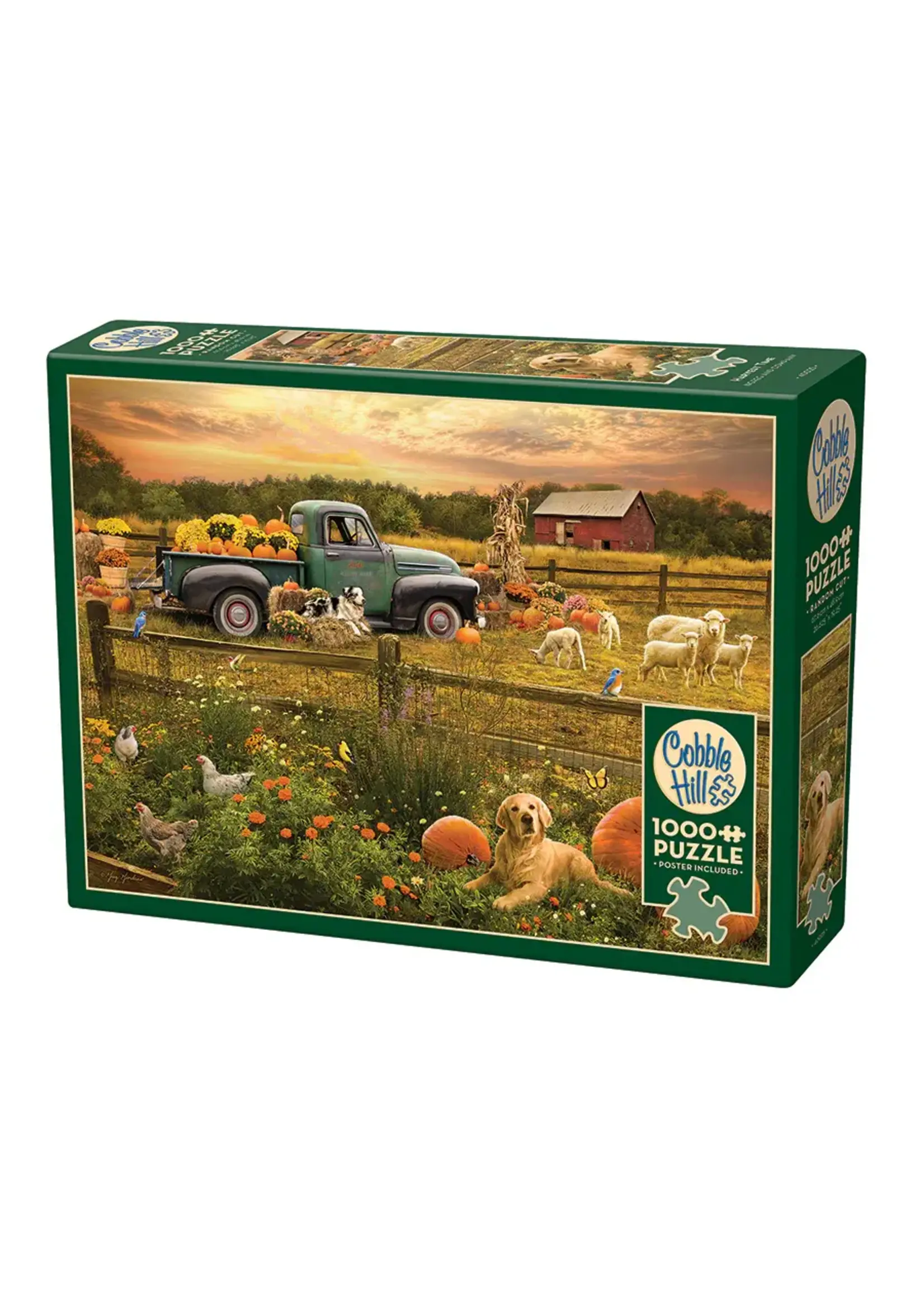 OUT 1000PC HARVEST TIME