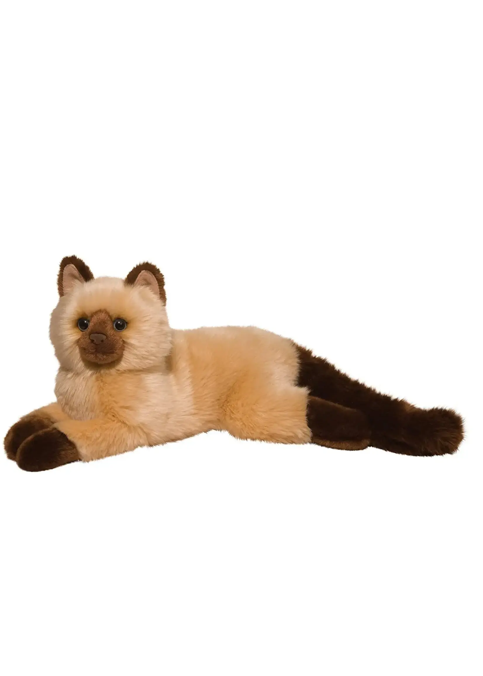 DUG CAT SEBASTIAN HIMALAYAN