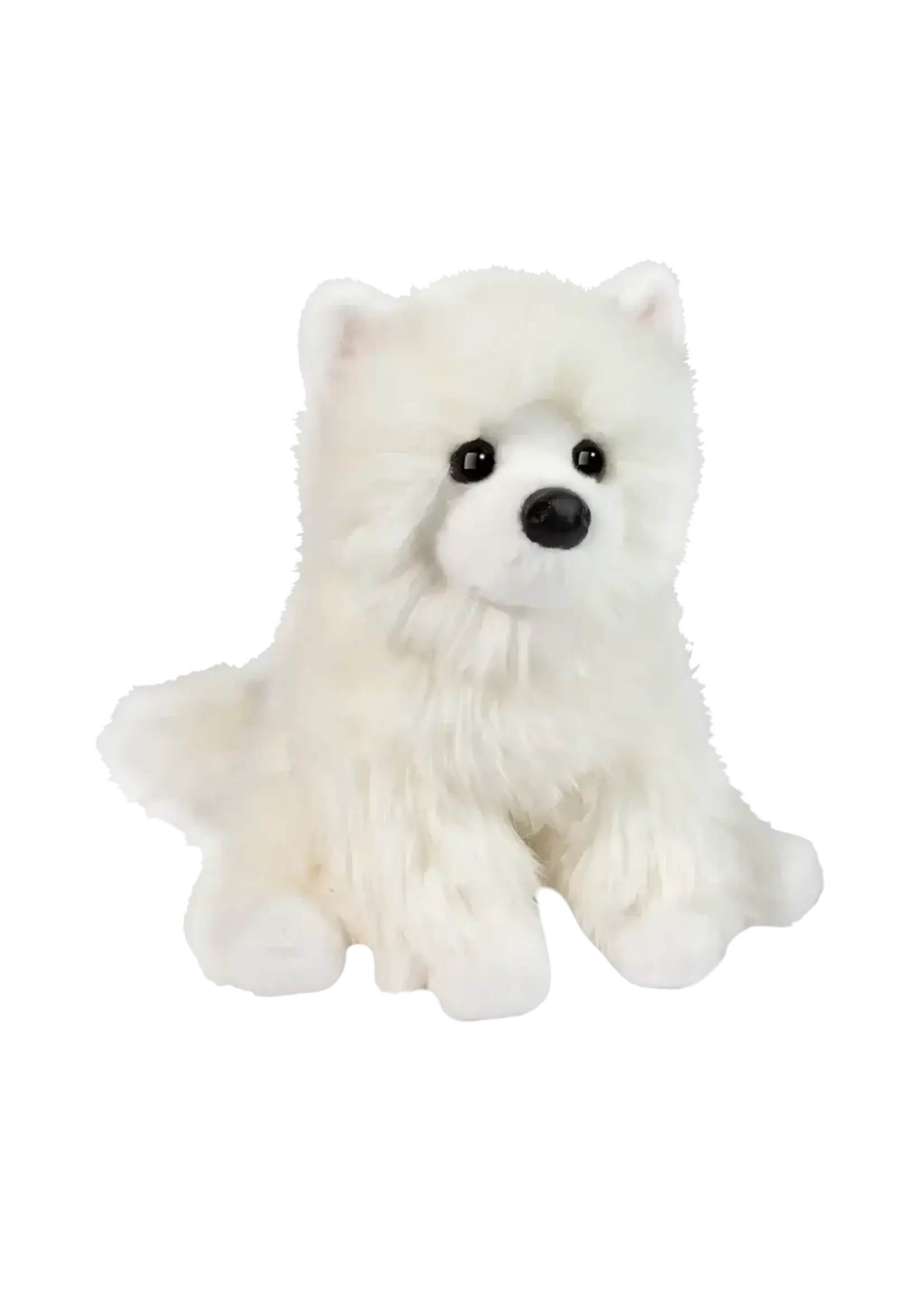 DUG OPO WHITE POMERANIAN