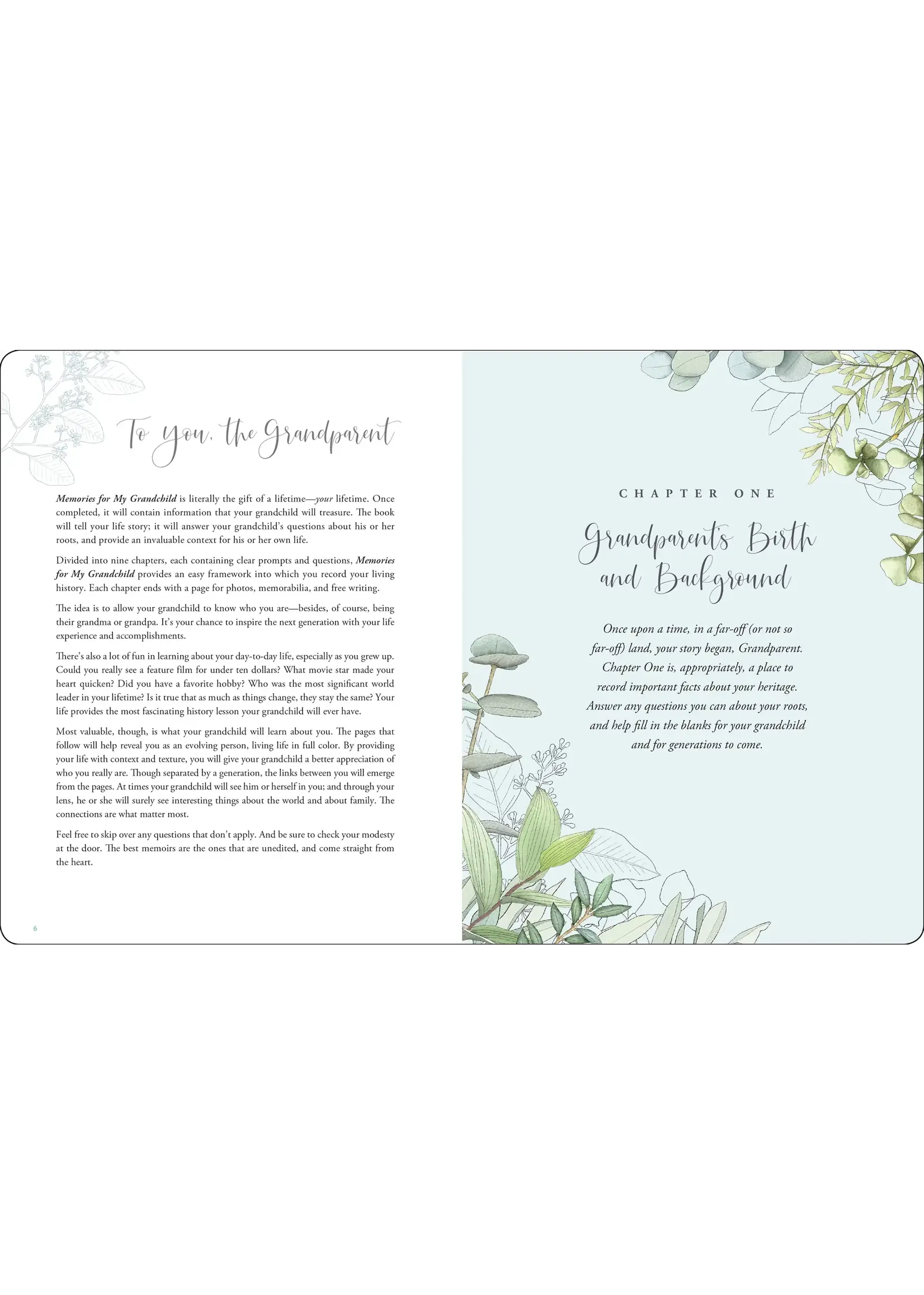 PPP MEMORIES FOR MY GRANDCHILD