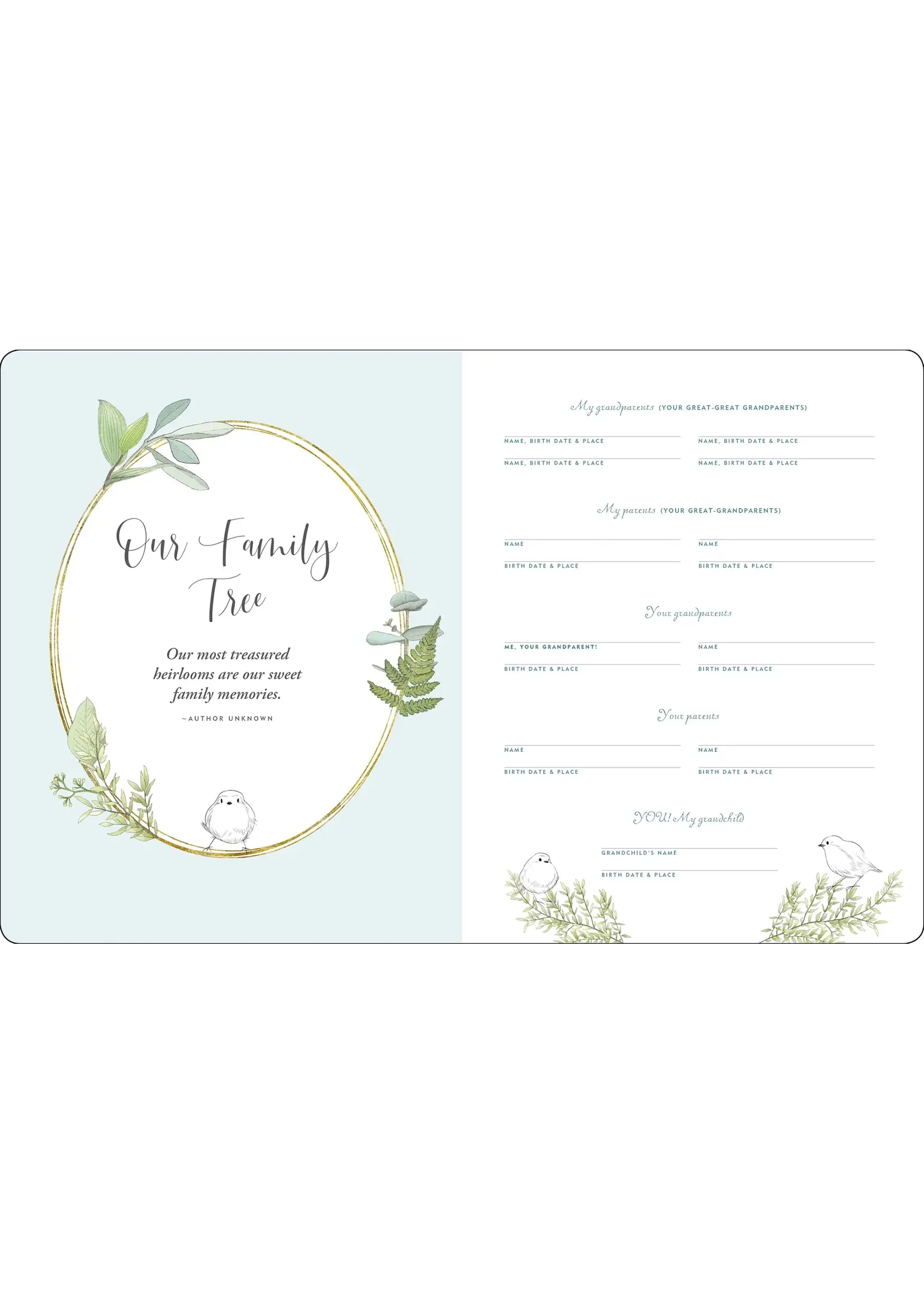 PPP MEMORIES FOR MY GRANDCHILD