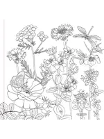 PPP WILDFLOWER COLOURING BOOK