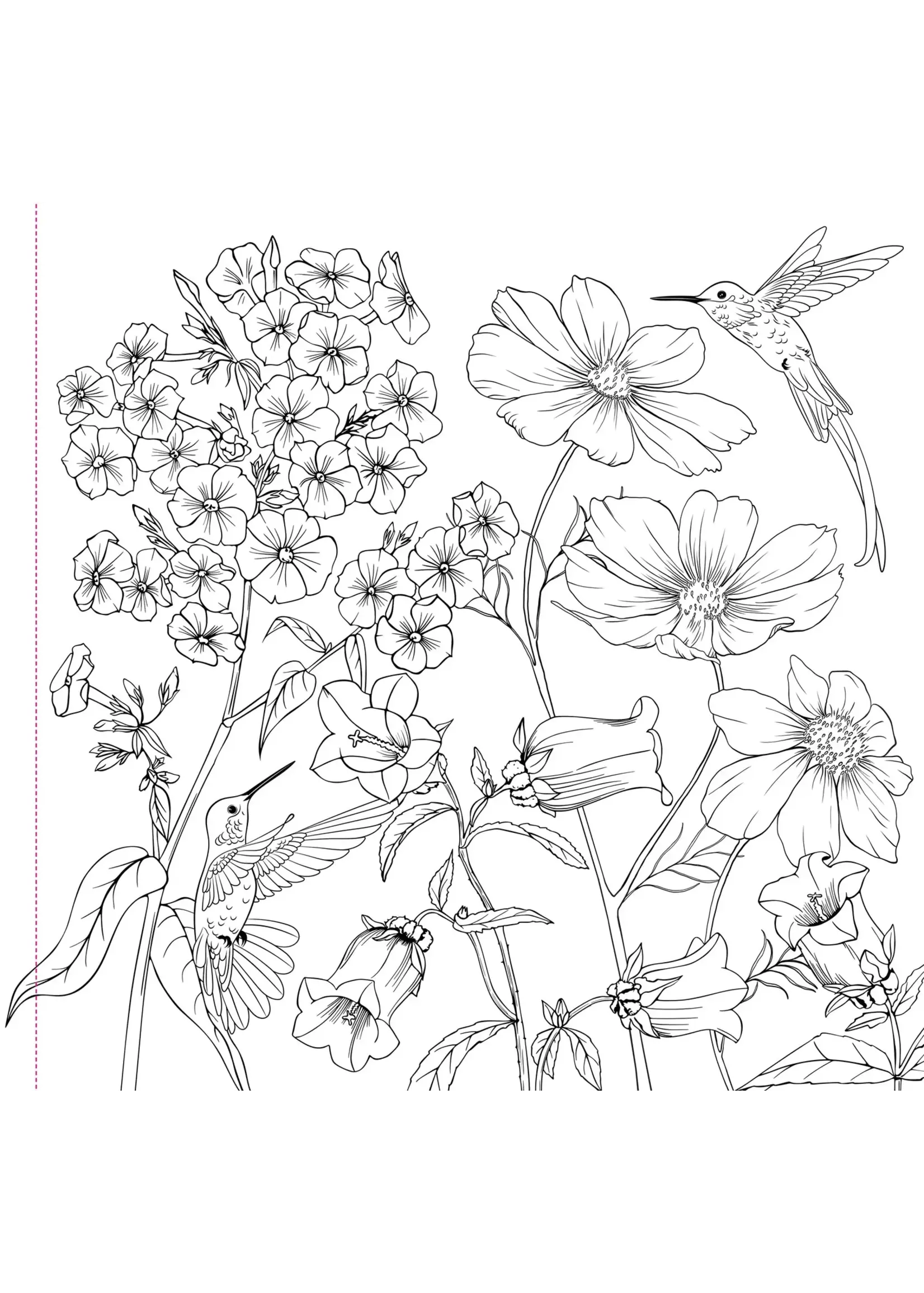 PPP WILDFLOWER COLOURING BOOK