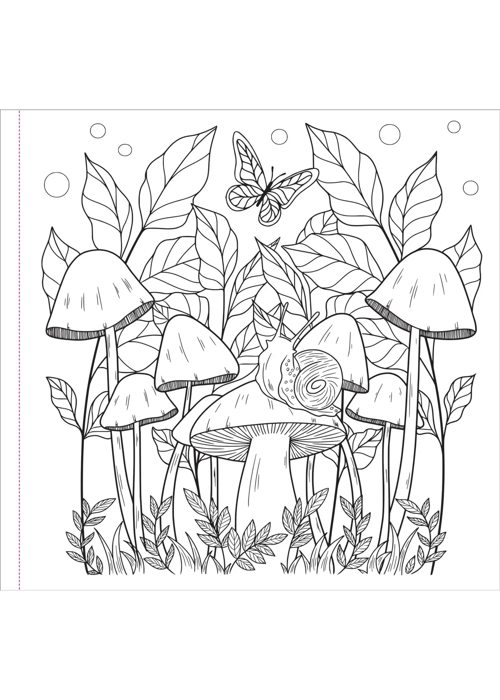 PPP MUSHROOMS COLOURING BOOK