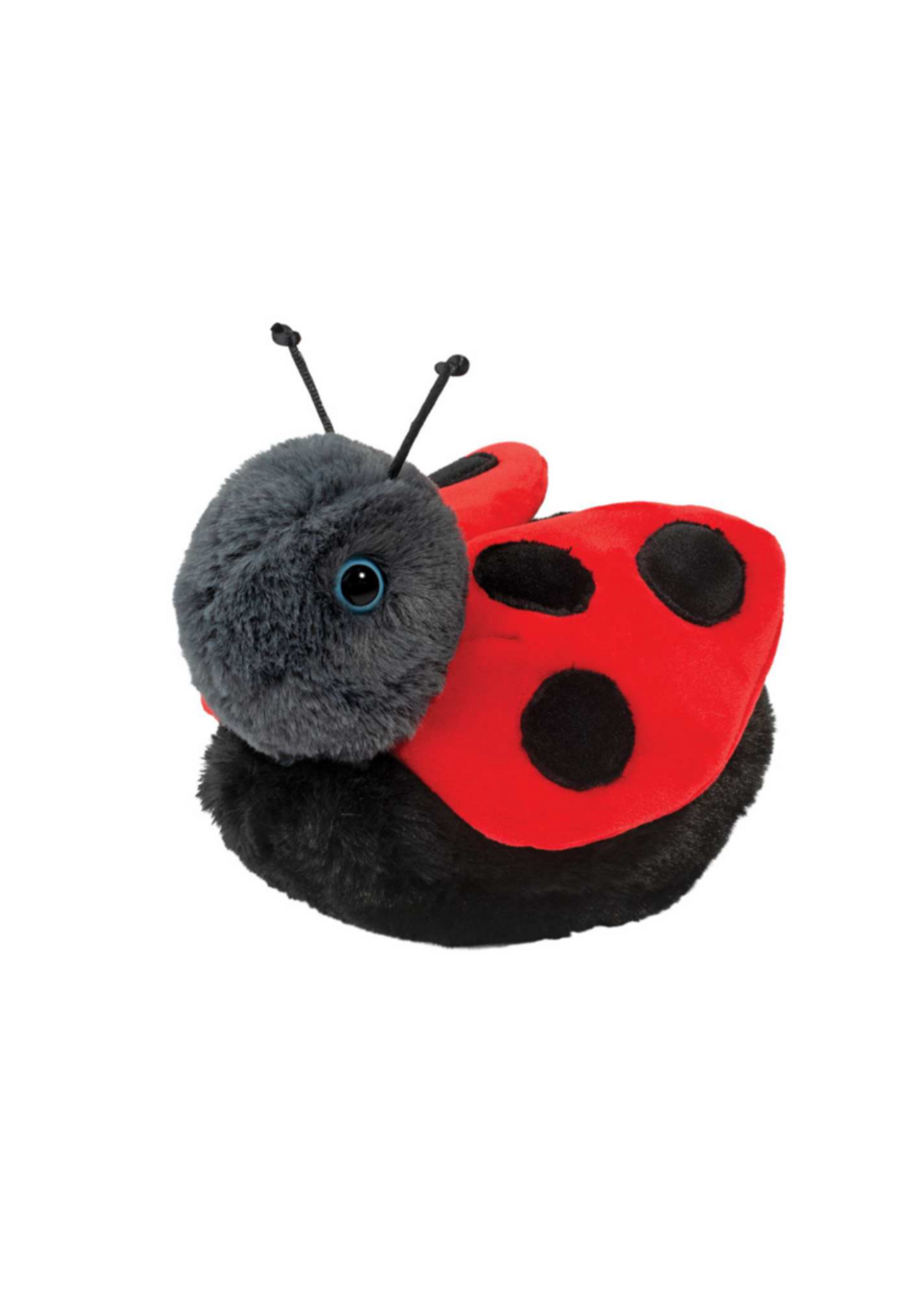 DUG BERT LADYBUG
