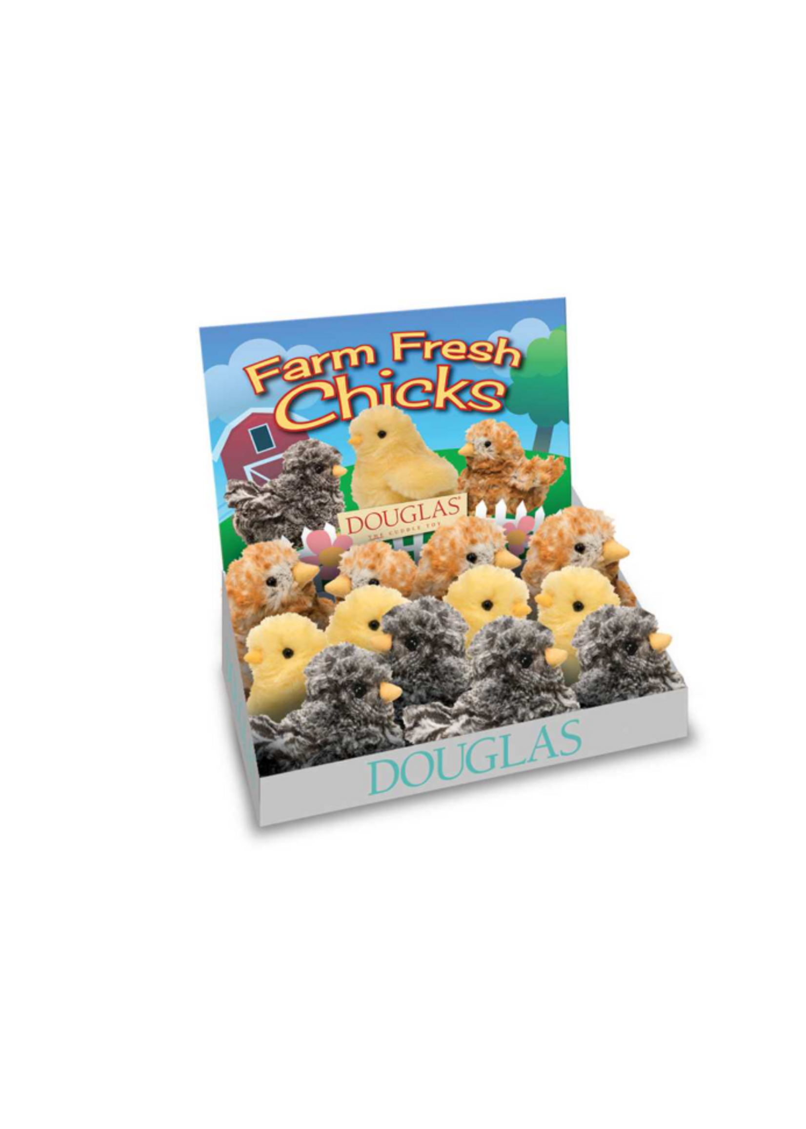 DUG FARM FRESH CHICKS