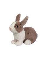 DUG DAFFODIL DUTCH BUNNY