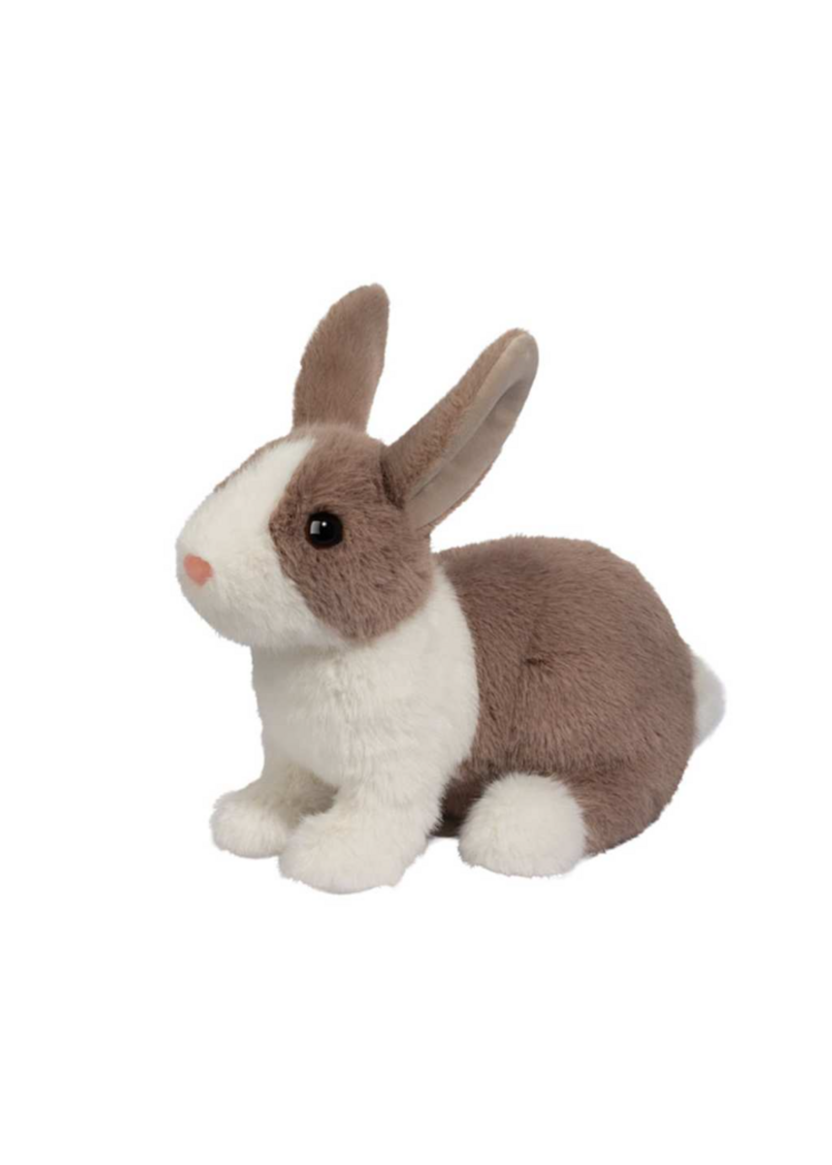 DUG DAFFODIL DUTCH BUNNY