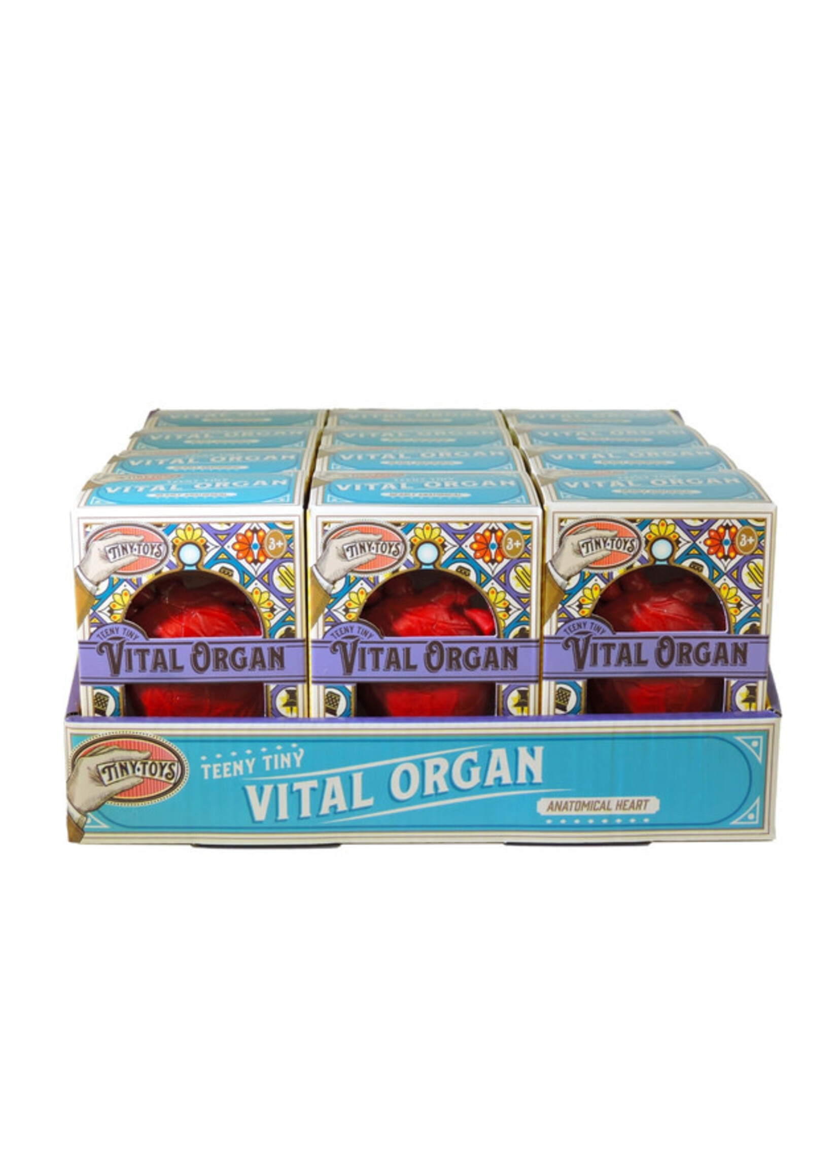 TOY VITAL ORGAN