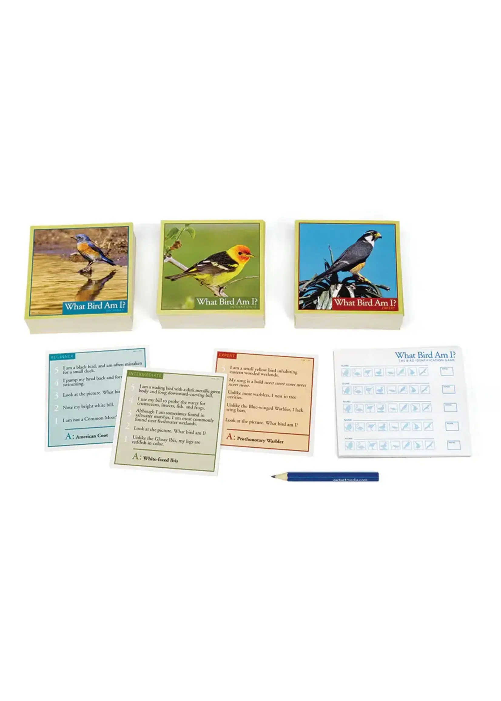 OUT WHAT BIRD AM I GAME