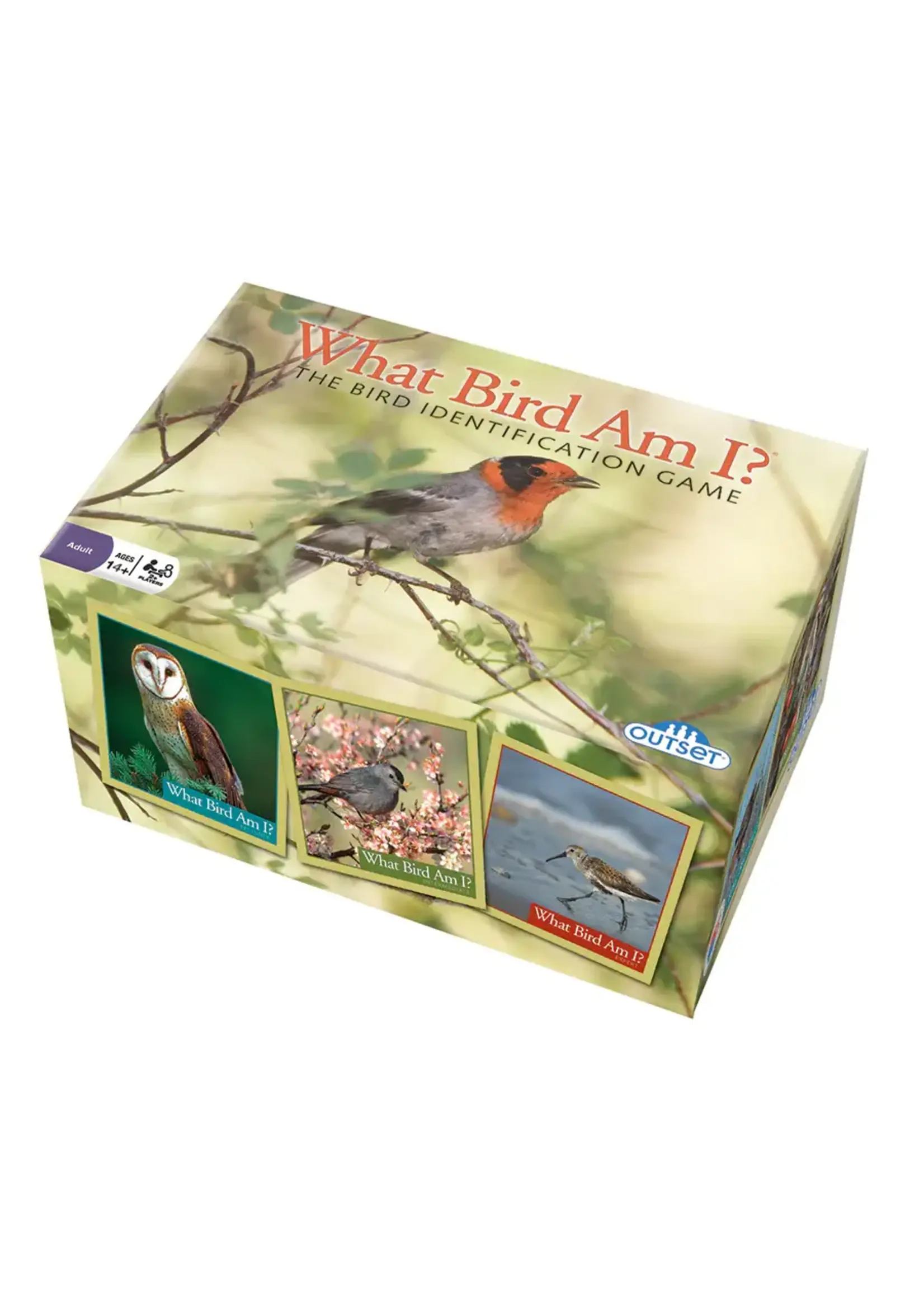 OUT WHAT BIRD AM I GAME