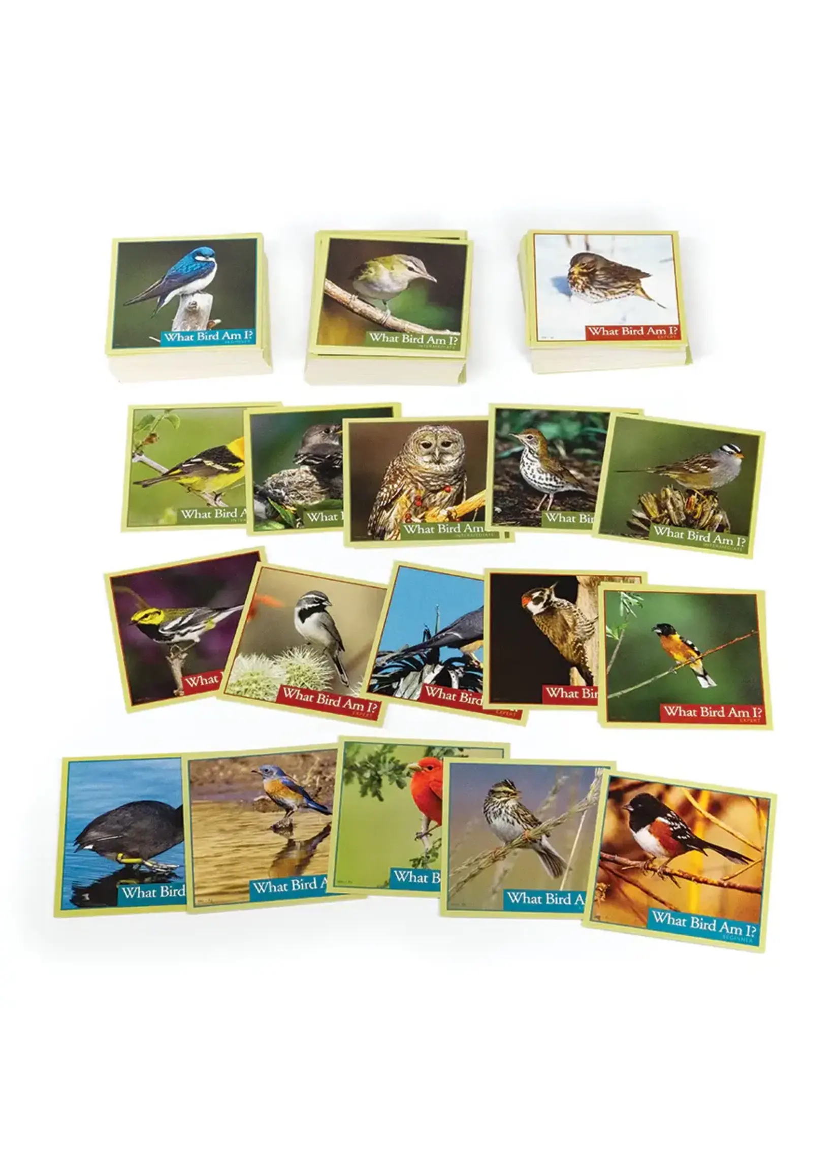 OUT WHAT BIRD AM I GAME