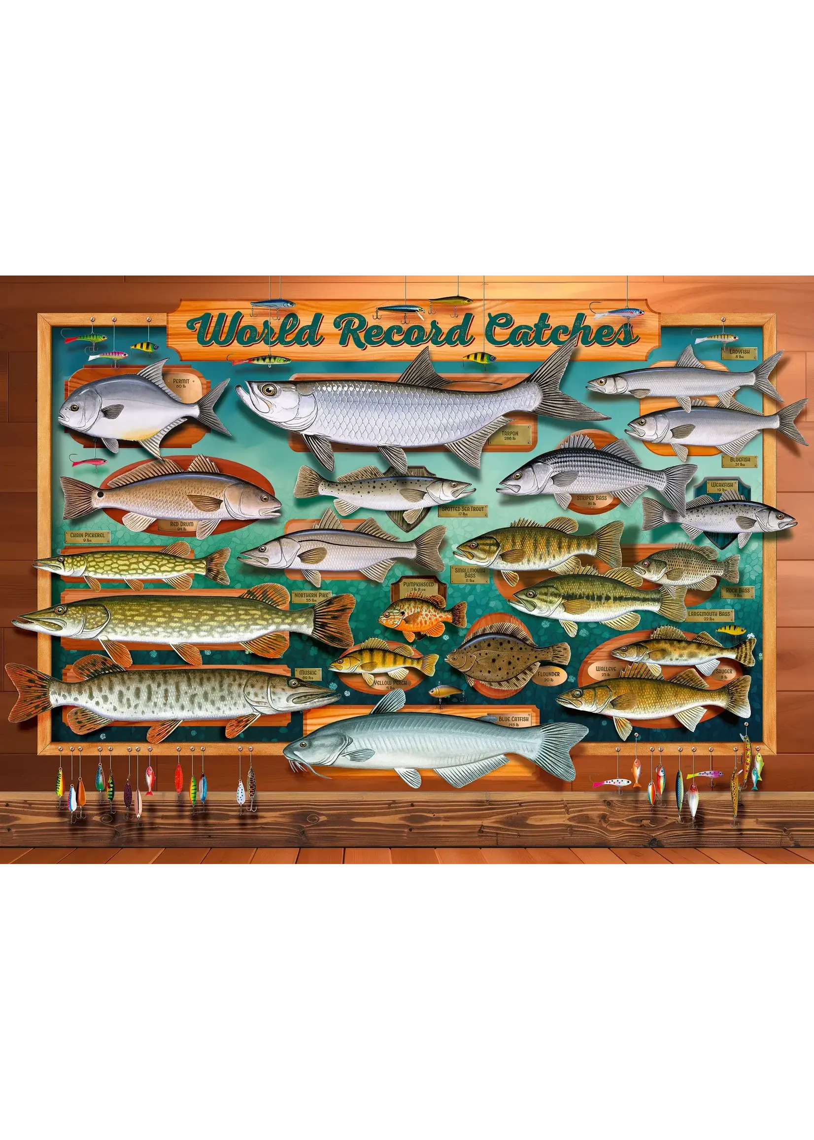 CBL 500 WORLD RECORD CATCHES