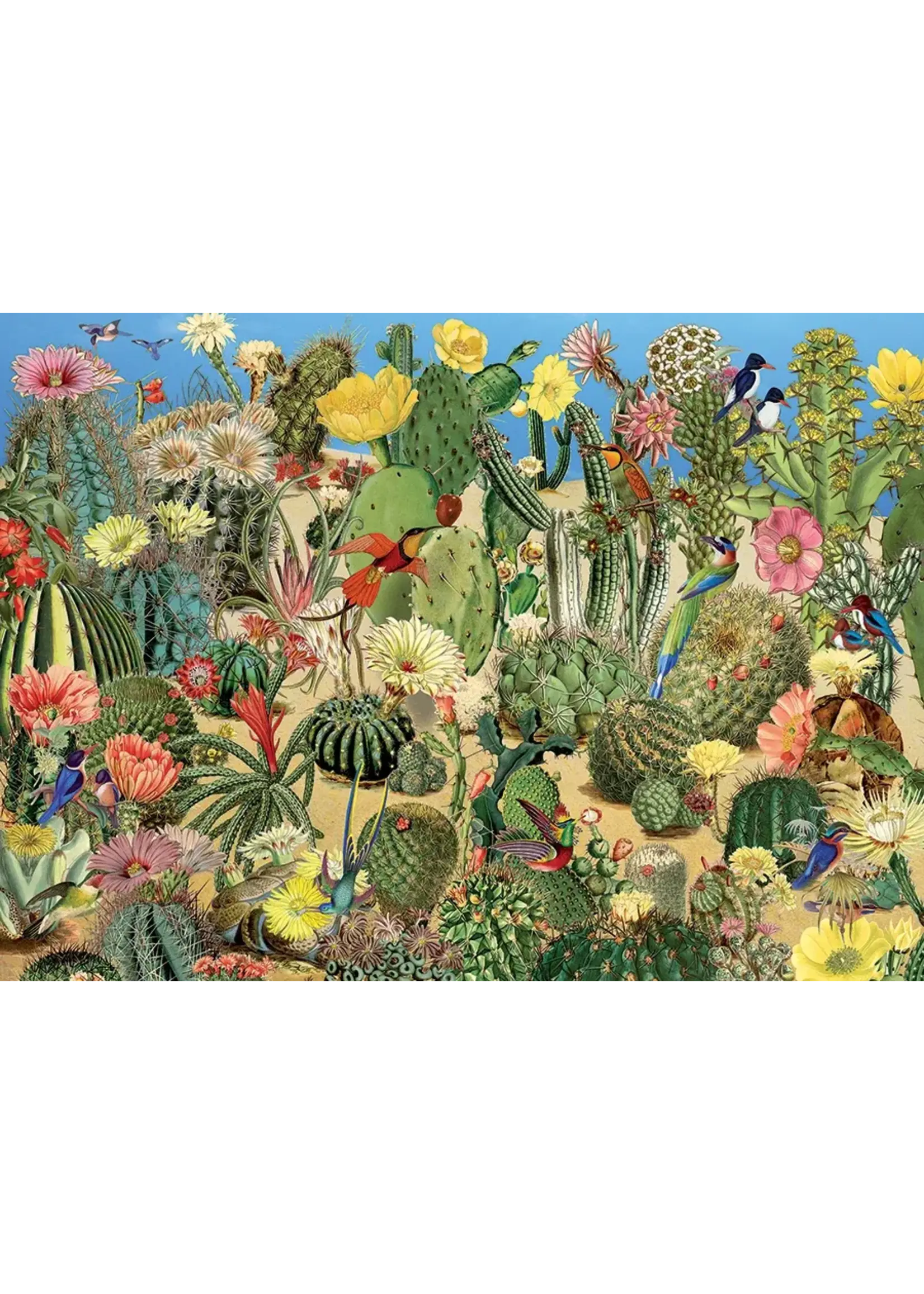 OUT 1000PC CACTUS GARDEN