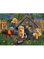 OUT 1000PC IN THE DOGHOUSE
