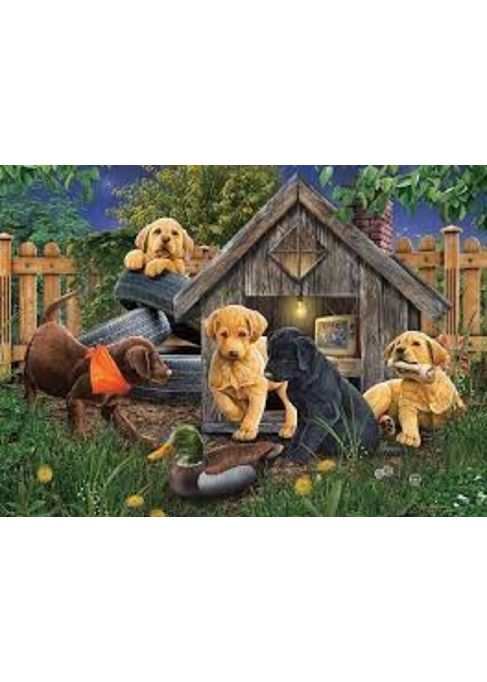 OUT 1000PC IN THE DOGHOUSE