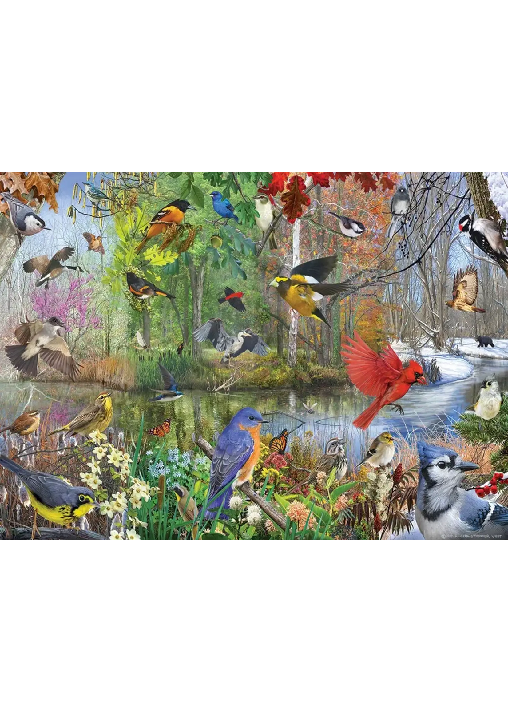 CBL 1000 BIRDS OF THE SEASON