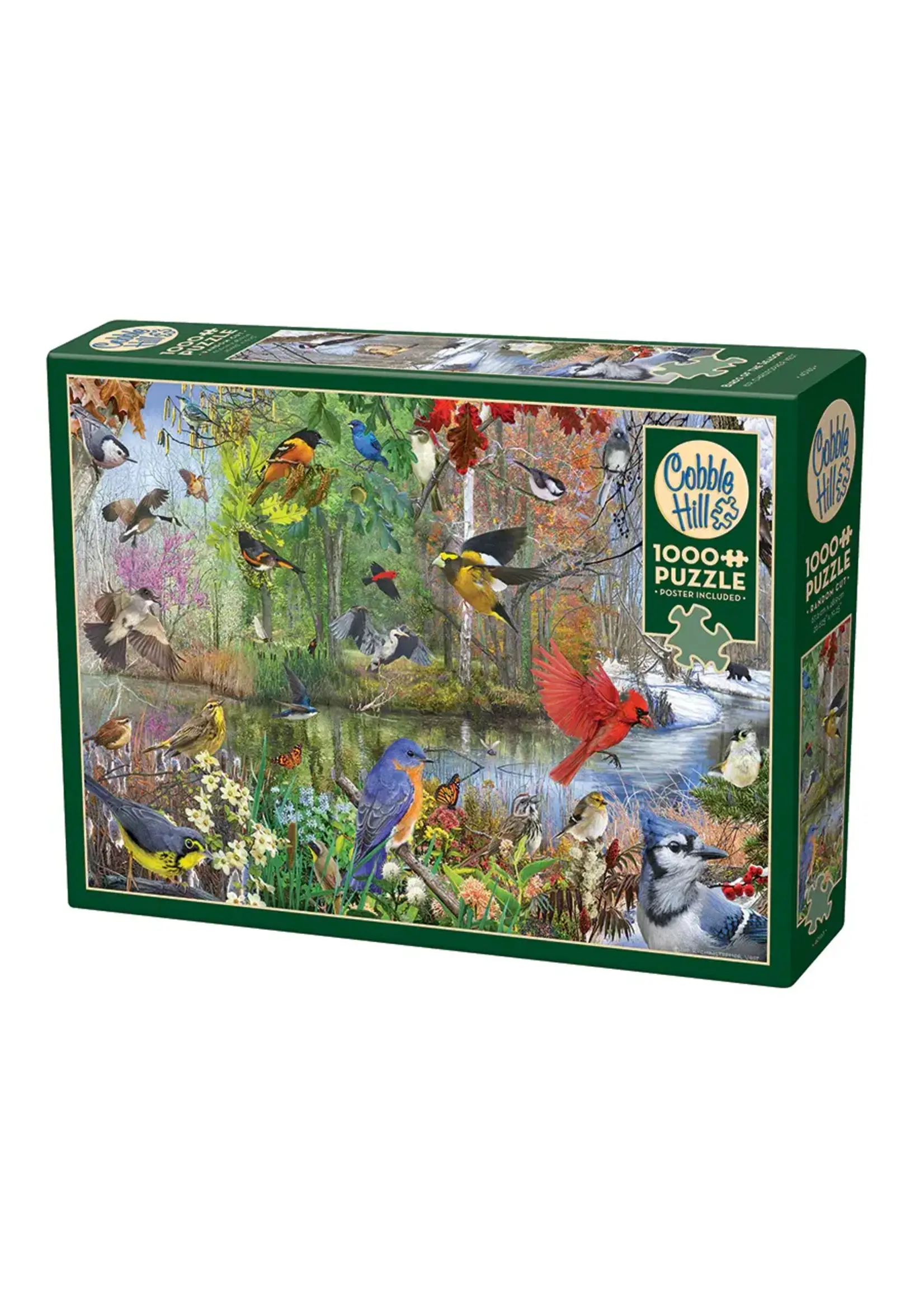 CBL 1000 BIRDS OF THE SEASON